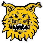 Écusson : Ilves Tampere